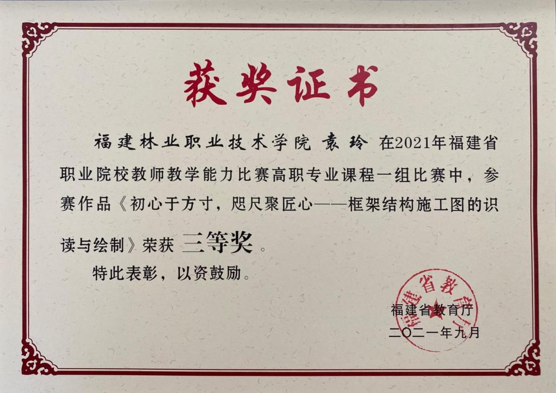 袁玲-教学能力比赛