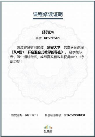 2021-薛翔鸿-从0到1，开启混合式教学的秘密
